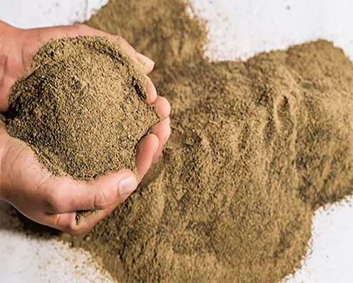 Quy trình chế biến bột đạm lông vũ